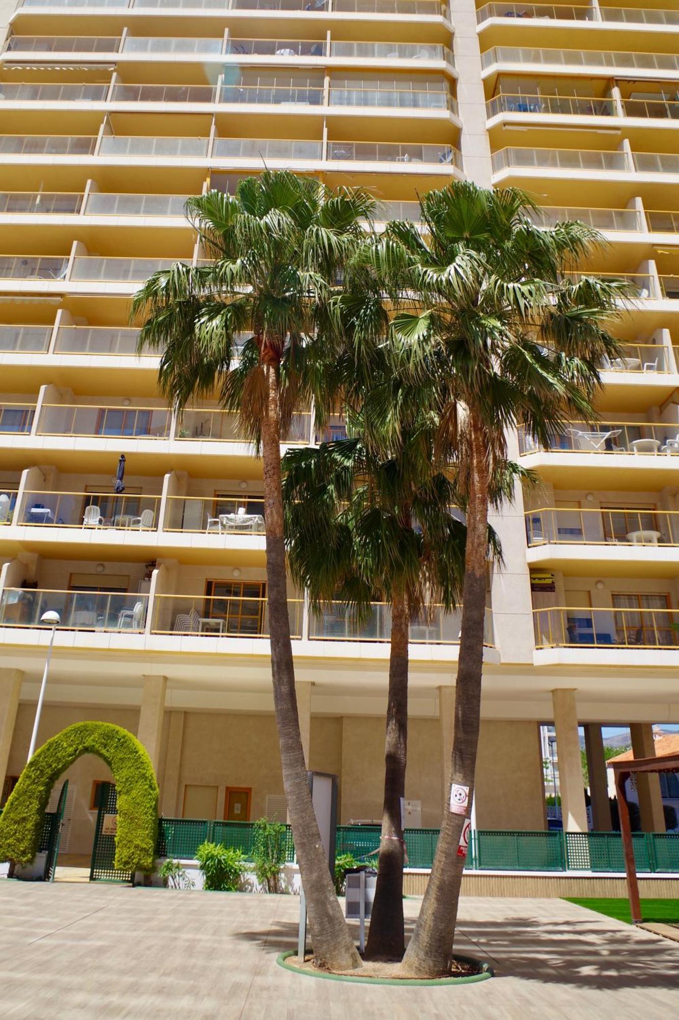 Refugio De Hedonista, Alojamiento Con Encanto Apartment Calpe Exterior photo